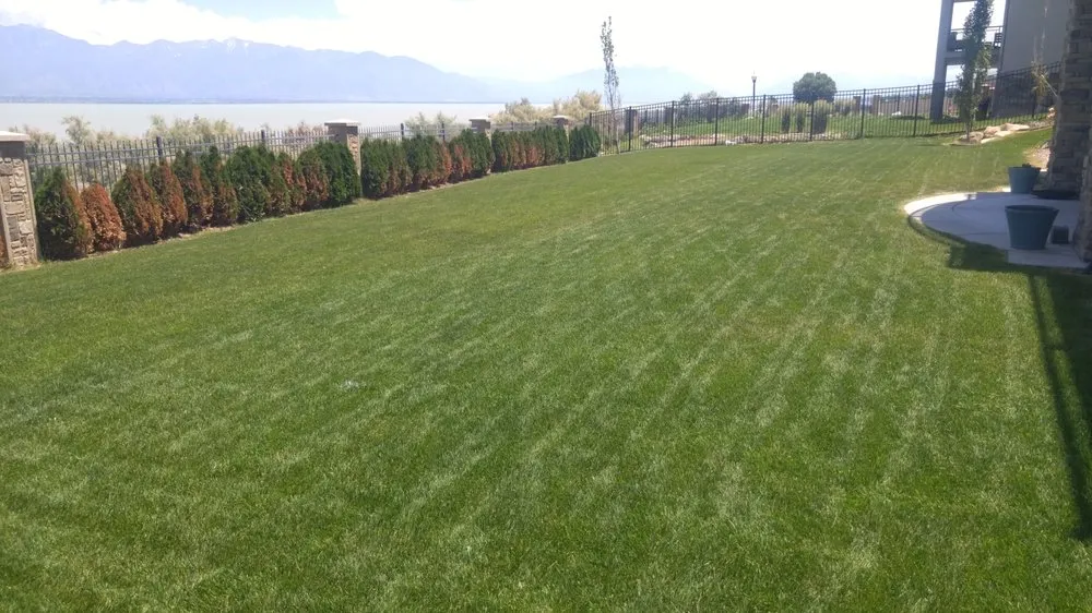Top-rated yard cleanup service in Saratoga Springs, UT by Saratoga Mowing