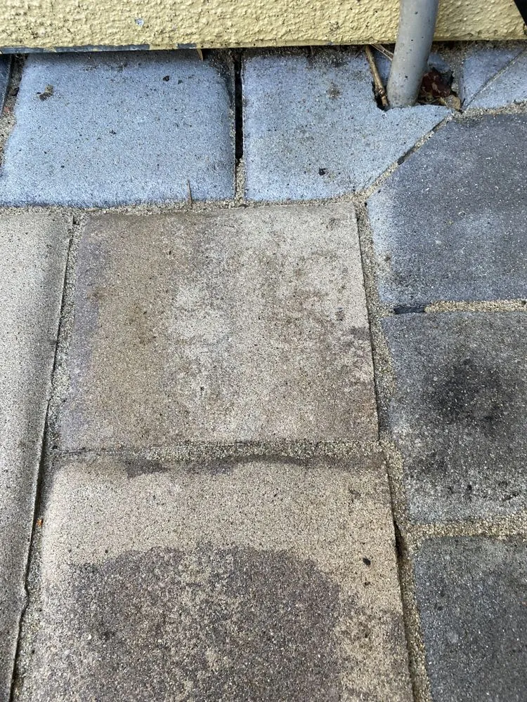 Reliable lawn care service in Los Gatos, CA by Saratoga Pavers