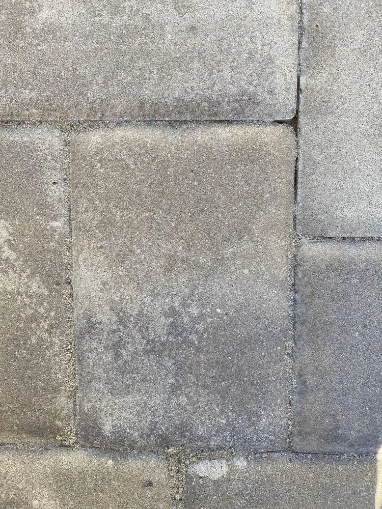 Expert yard maintenance experts serving Los Gatos, CA - Saratoga Pavers