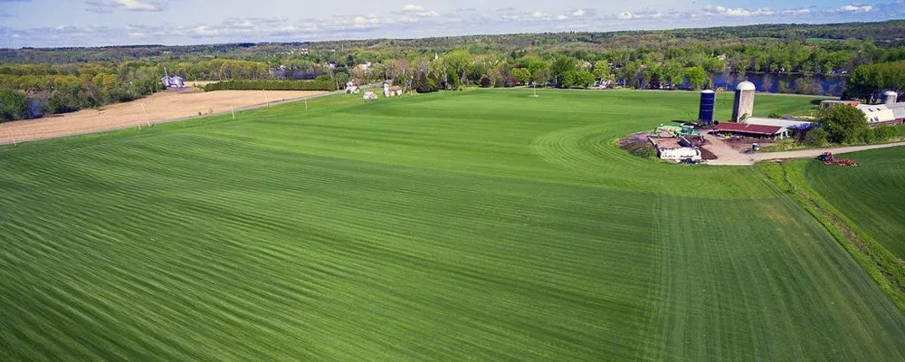 Professional yard maintenance for homes across Stillwater, NY - Saratoga Sod Farm