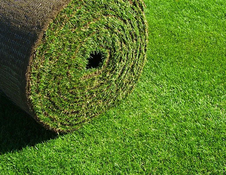 Reliable lawn care service experts serving Stillwater, NY - Saratoga Sod Farm