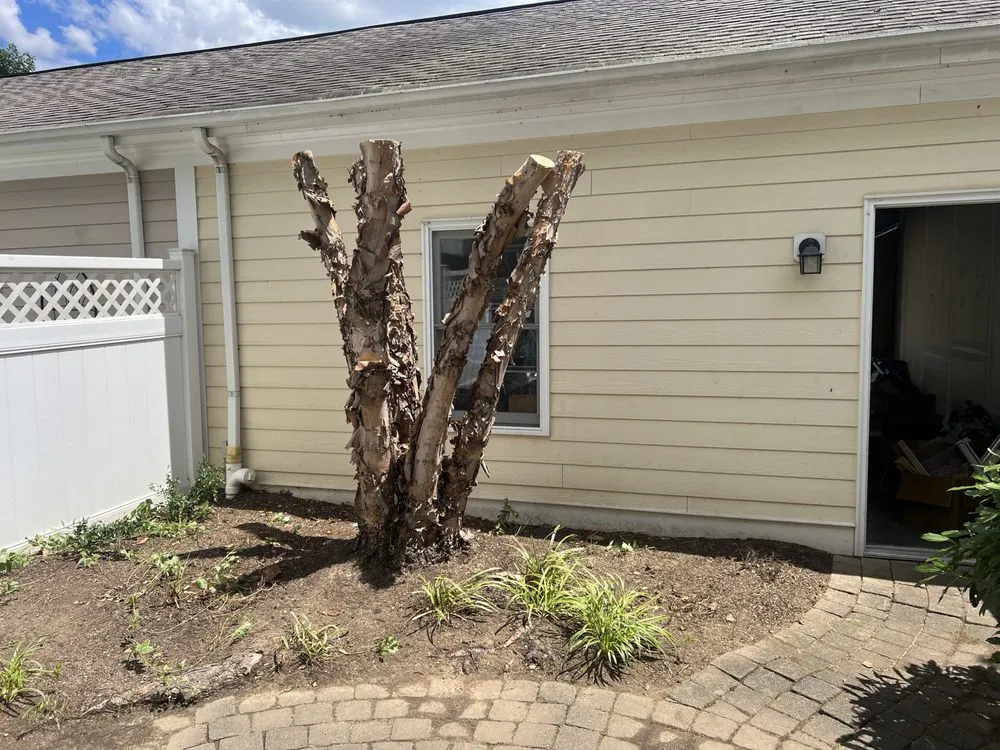 Expert lawn mowing service experts serving Gaithersburg, MD - Saravia Landscaping Services