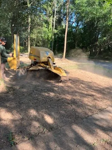 Affordable garden landscaping in Gaithersburg, MD - Saravia Landscaping Services