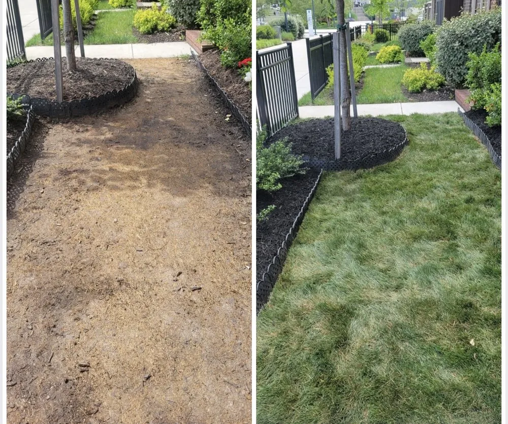 Top-rated residential landscaping near you across Halethorpe, MD - Saravia's Landscaping