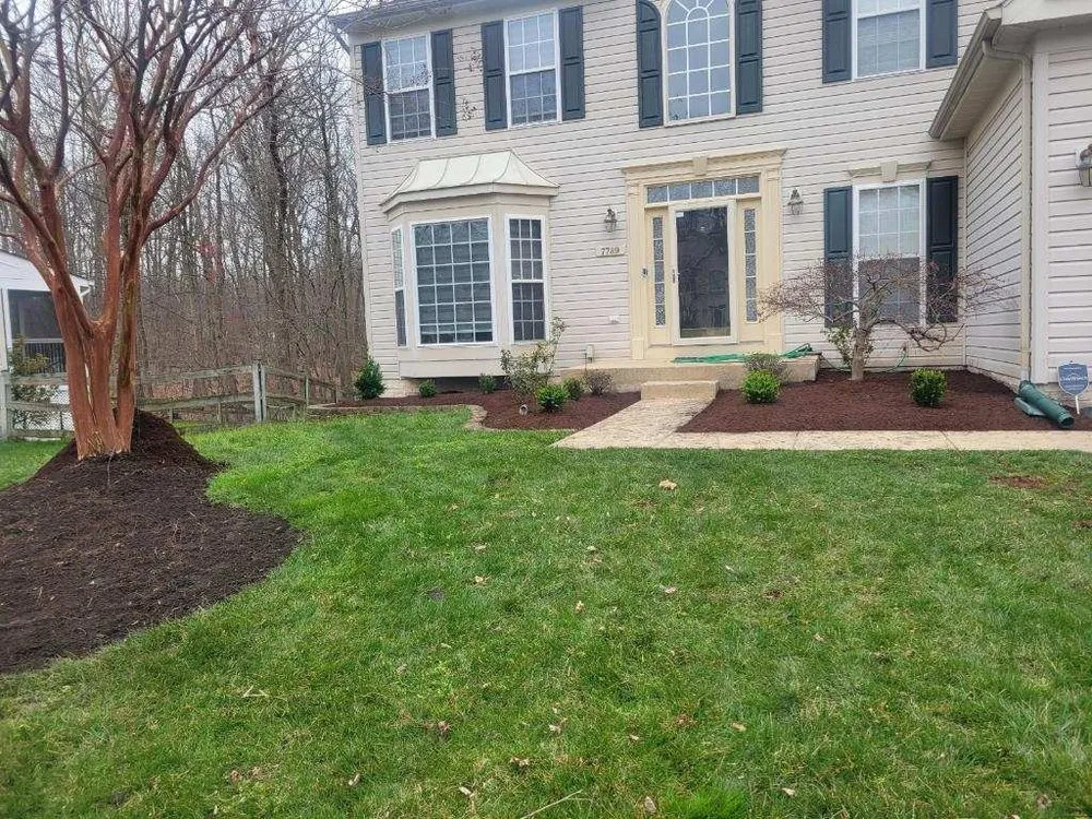 Professional yard cleanup service with custom design in Halethorpe, MD by Saravia's Landscaping