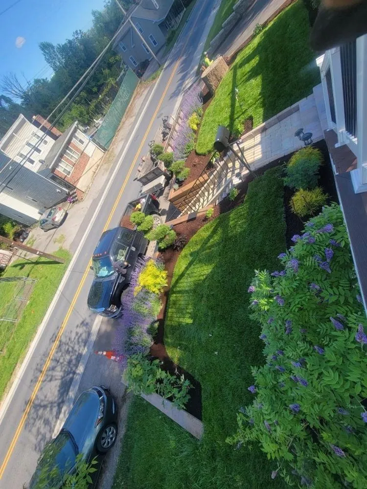 Top-rated yard cleanup service experts serving Halethorpe, MD - Saravia's Landscaping