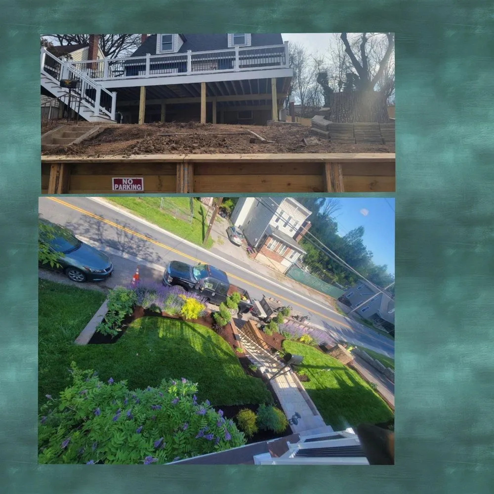 Affordable yard cleanup service in Halethorpe, MD by Saravia's Landscaping