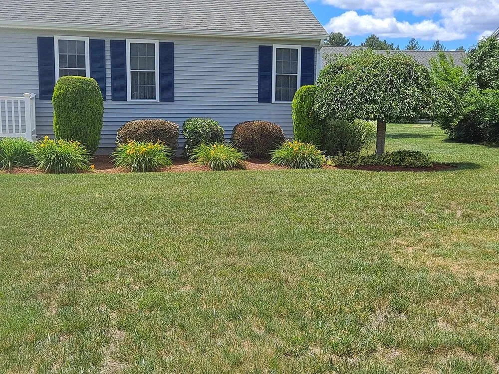 Expert yard maintenance in Brockton, MA - Sarcia's Landscaping