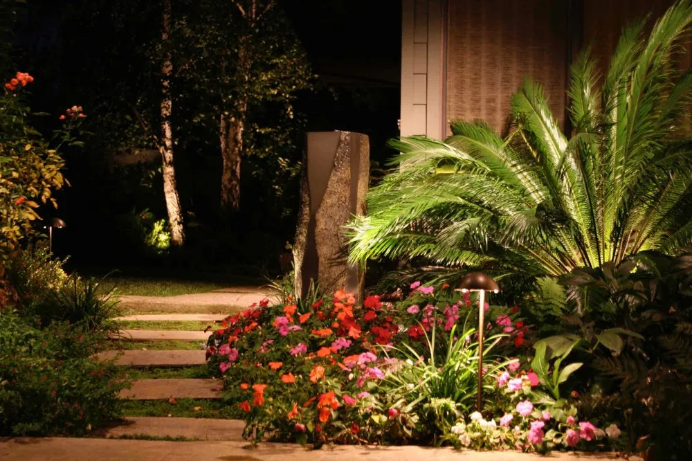 Reliable yard cleanup service for homes across Novato, CA - Sargent Landscaping