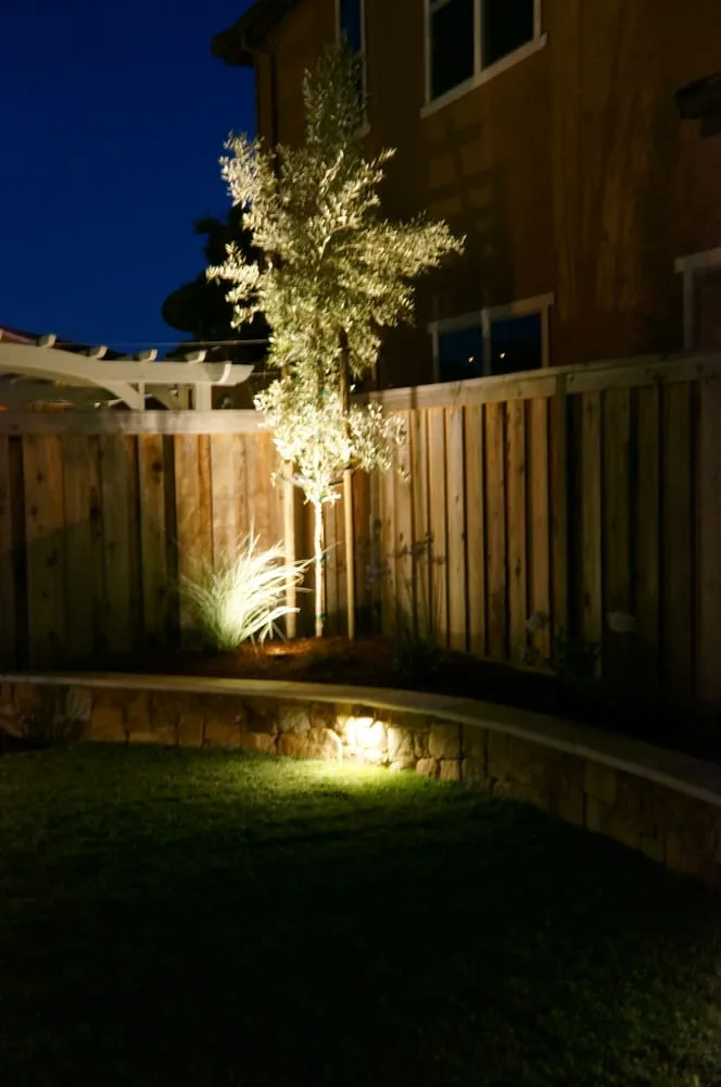 Custom lawn care service in Novato, CA by Sargent Landscaping