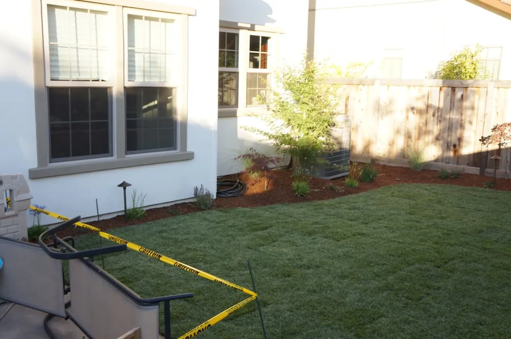 Custom landscaping services in Novato, CA by Sargent Landscaping