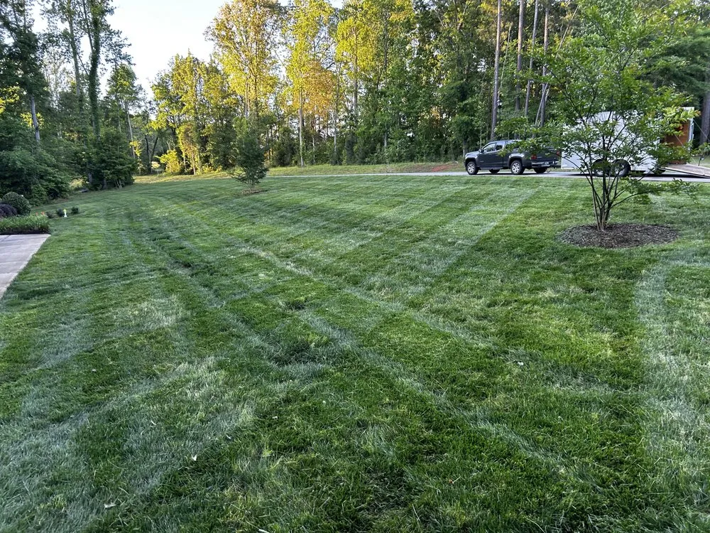 Top-rated garden landscaping experts serving Clover, SC - Sargent lawn care