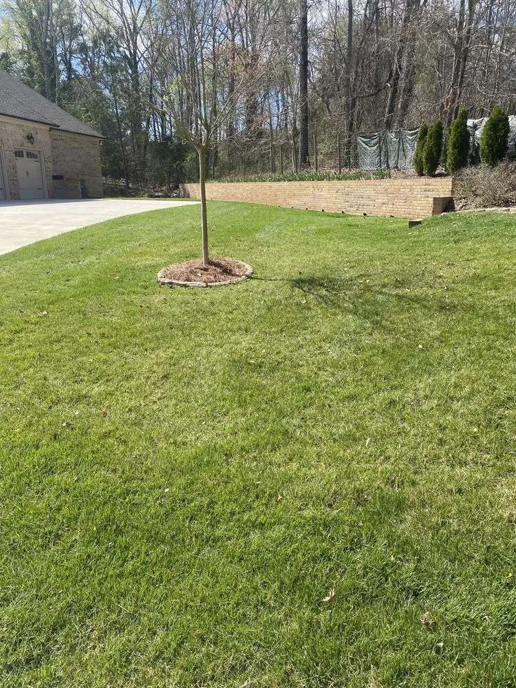 Custom residential landscaping for homes across Clover, SC - Sargent lawn care