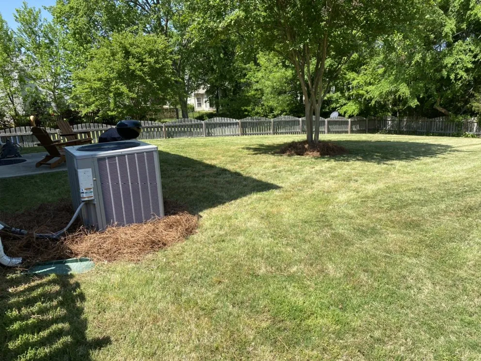 Reliable yard cleanup service in Clover, SC by Sargent lawn care
