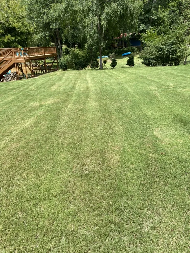 Trusted yard maintenance for residential properties across Clover, SC - Sargent lawn care