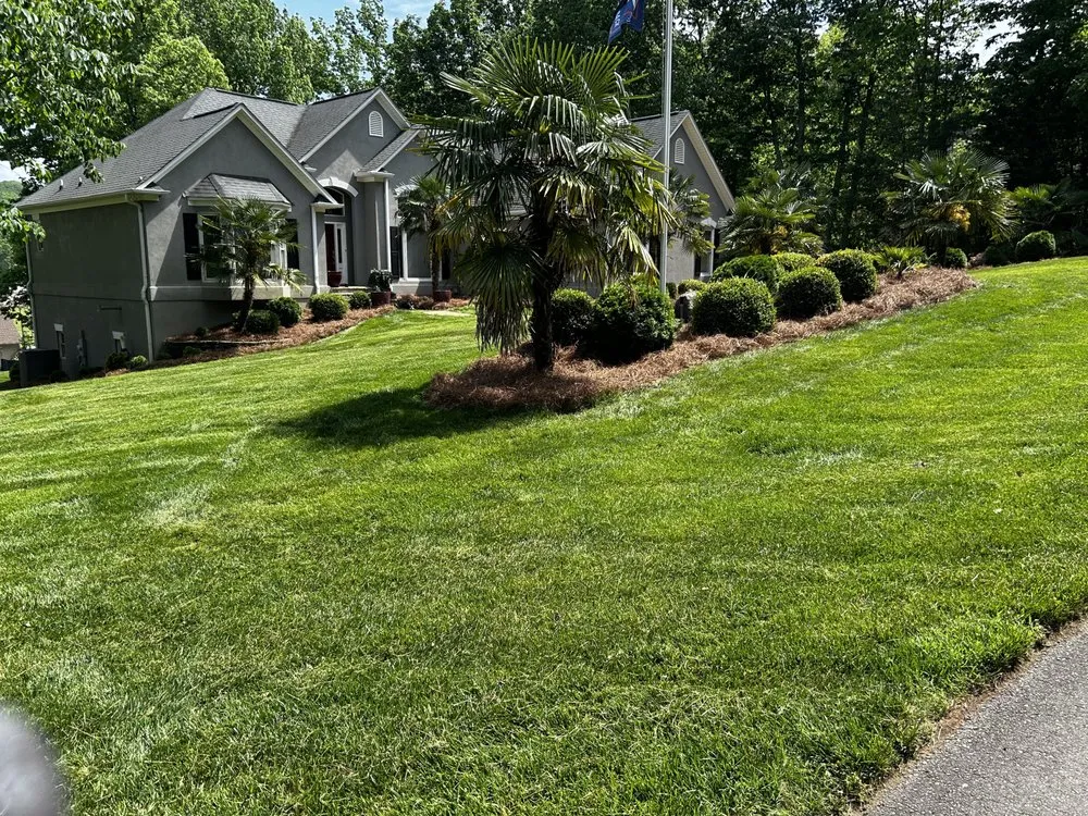 Expert lawn care service experts serving Clover, SC - Sargent lawn care