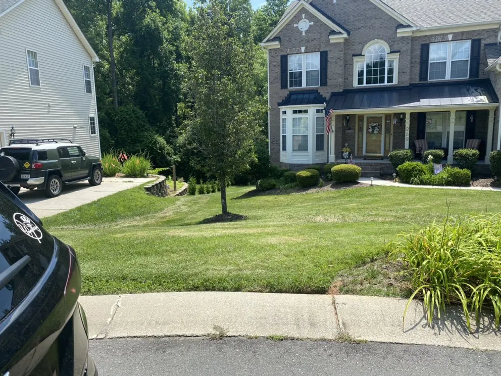 Custom landscape design in Clover, SC by Sargent lawn care