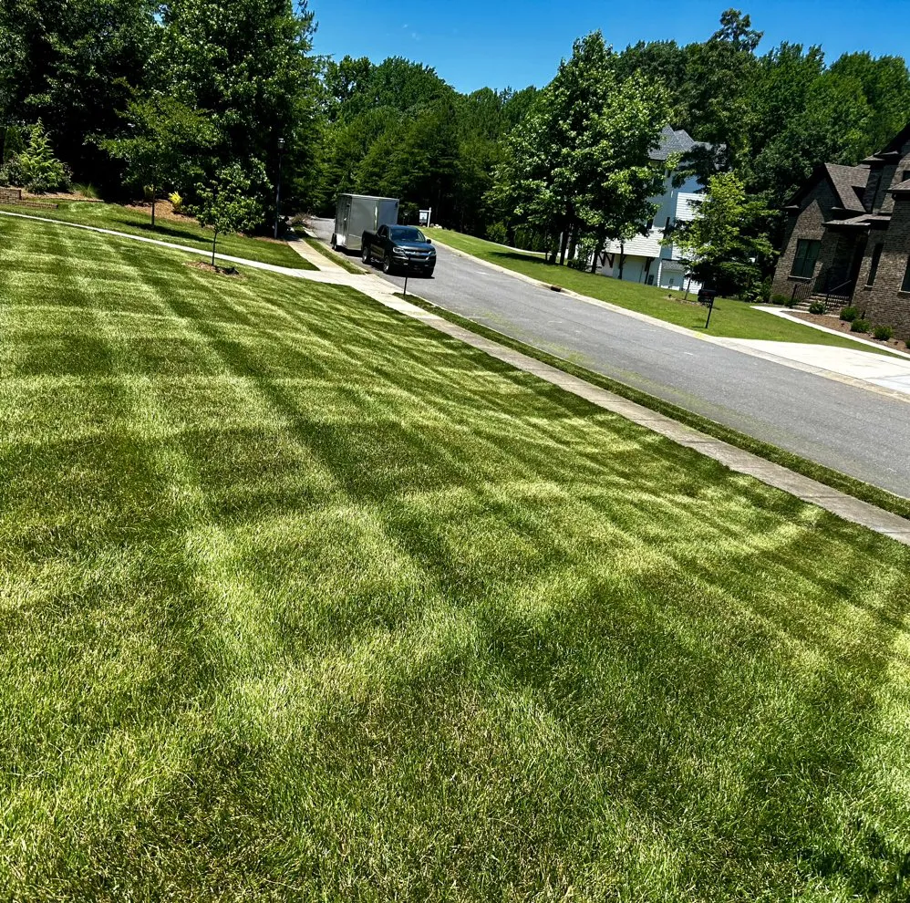 Affordable yard maintenance in Clover, SC by Sargent lawn care