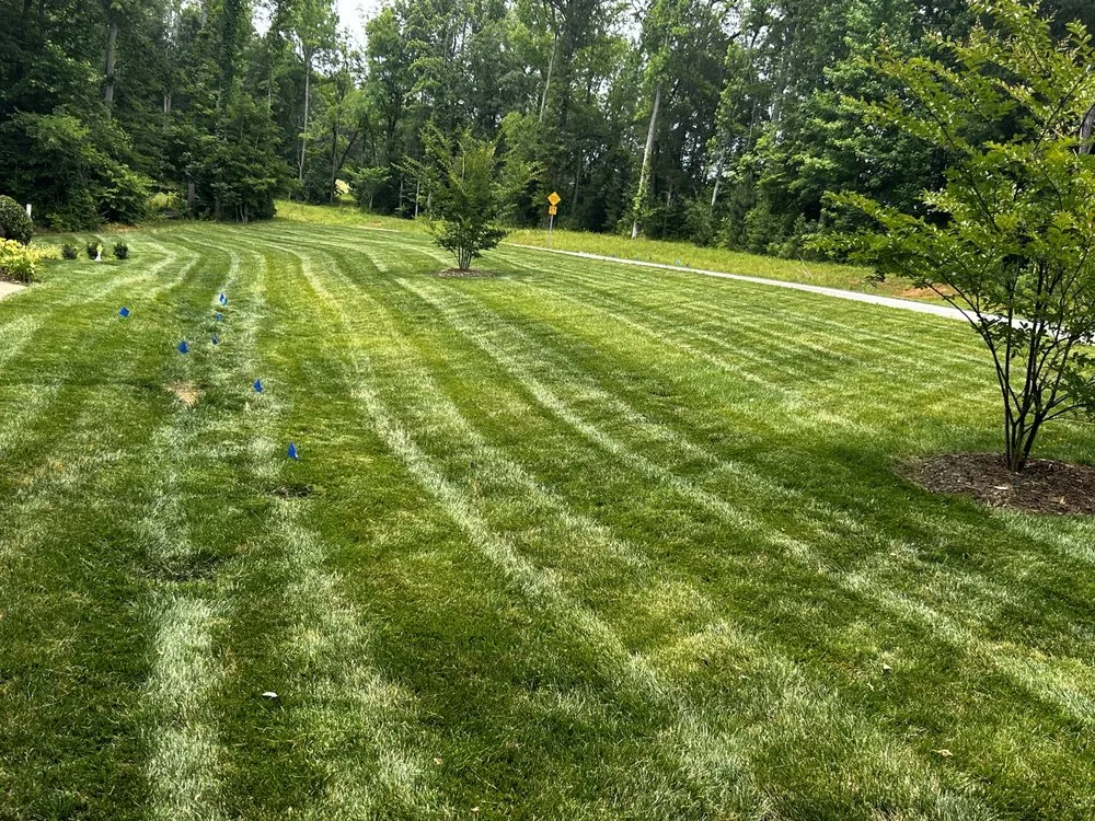 Affordable landscaping services for year-round maintenance across Clover, SC - Sargent lawn care