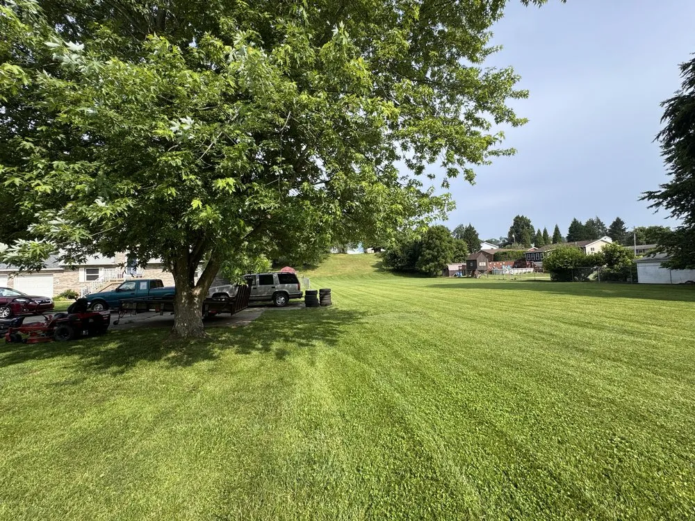 Trusted yard maintenance experts serving Vienna, WV - Sargent Outdoor Services