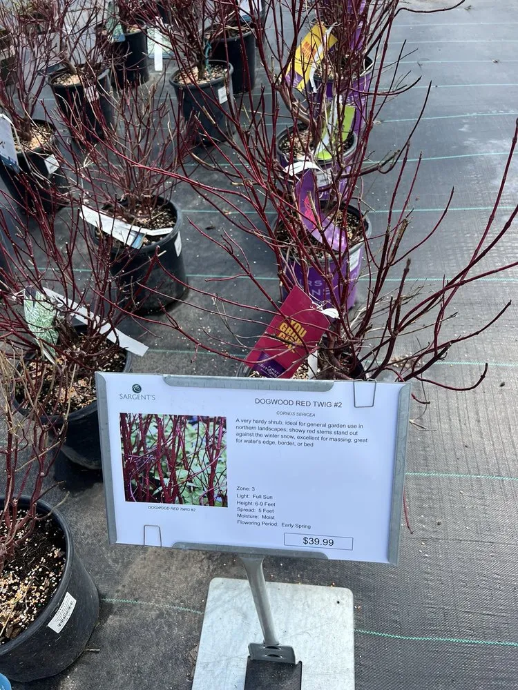 Local garden landscaping in Rochester, MN - Sargent's Landscape & Nursery