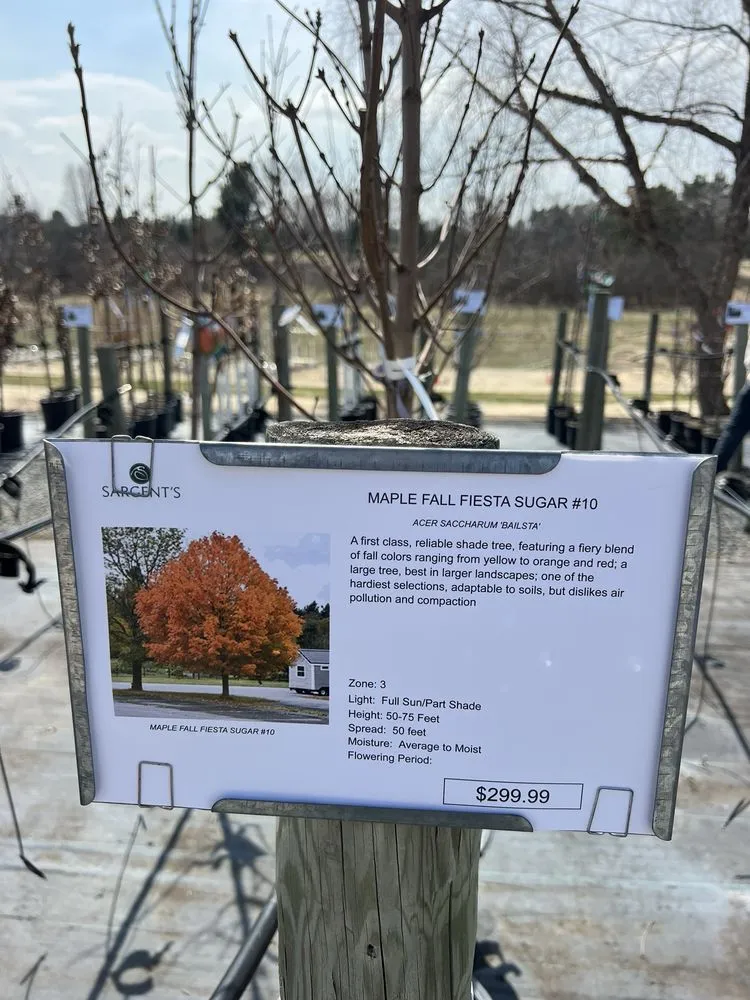 Affordable yard maintenance in Rochester, MN - Sargent's Landscape & Nursery