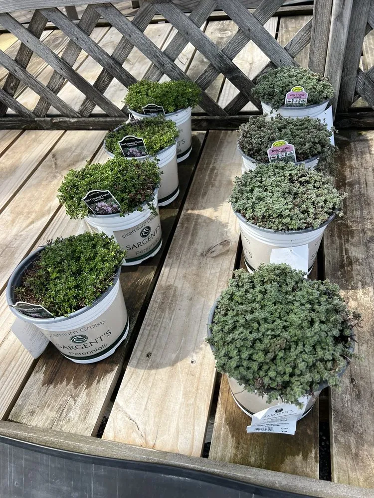 Affordable residential landscaping for residential properties across Rochester, MN - Sargent's Landscape & Nursery