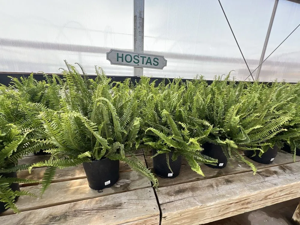 Expert garden landscaping experts serving Rochester, MN - Sargent's Landscape & Nursery