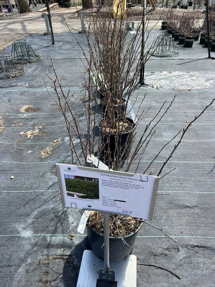 Trusted lawn mowing service in Rochester, MN - Sargent's Landscape & Nursery