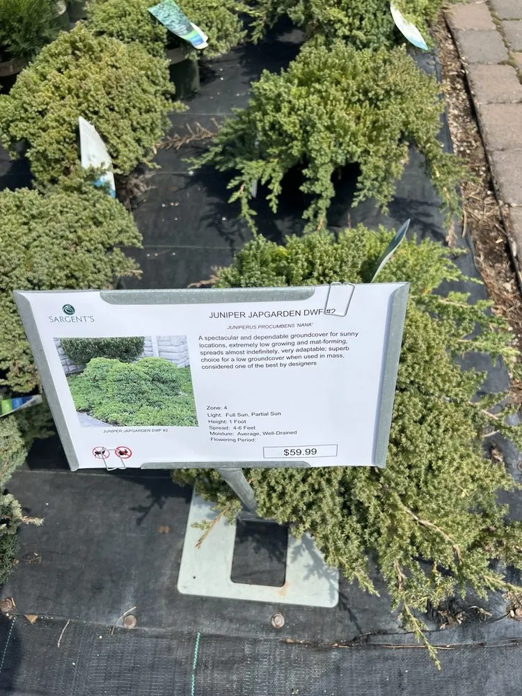 Professional residential landscaping in Rochester, MN - Sargent's Landscape & Nursery