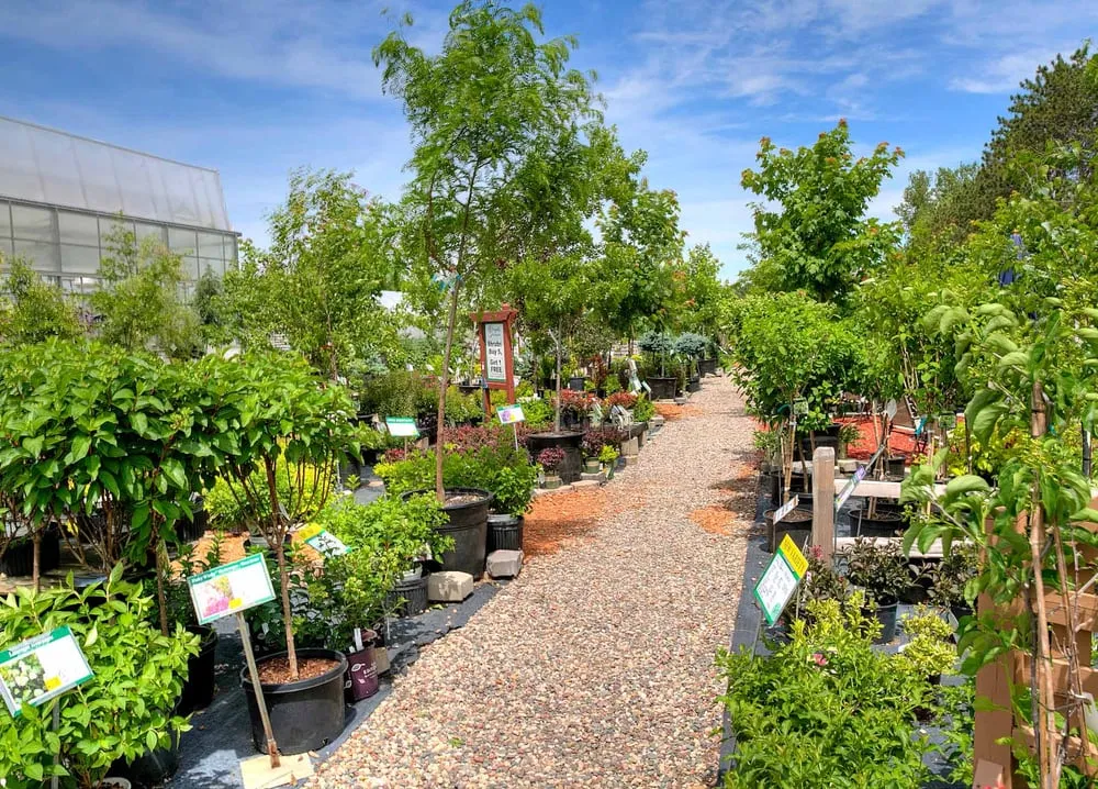 Affordable landscaping services for residential properties across Red Wing, MN - Sargent's Nursery