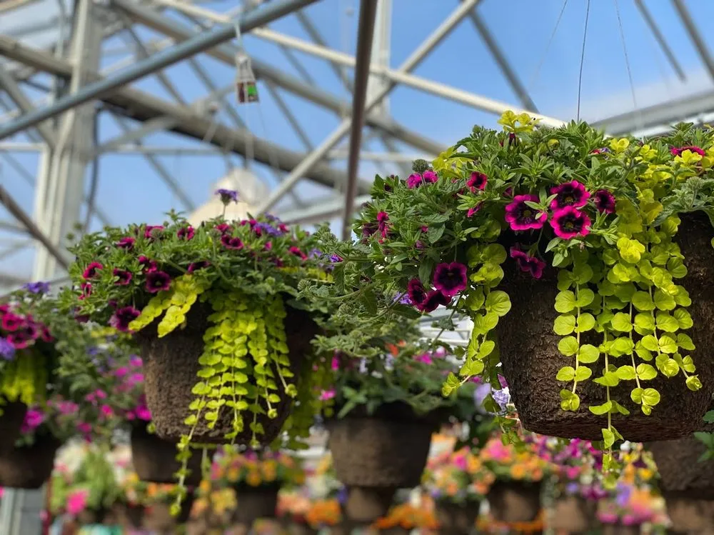 Top-rated residential landscaping in Red Wing, MN - Sargent's Nursery