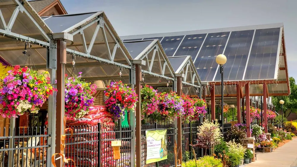 Affordable lawn mowing service for beautiful yards in Red Wing, MN by Sargent's Nursery