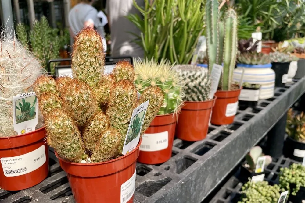 Reliable garden landscaping for outdoor upgrades in Red Wing, MN by Sargent's Nursery