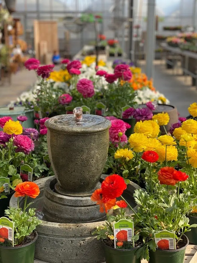 Top-rated lawn mowing service for residential properties across Red Wing, MN - Sargent's Nursery