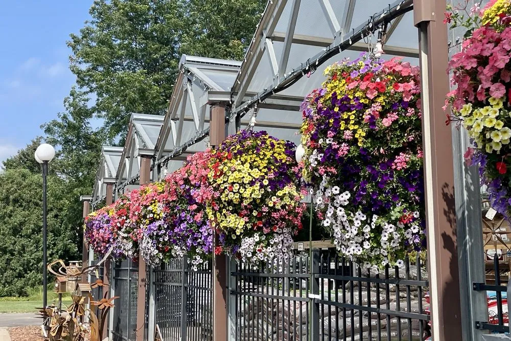 Expert lawn care service for beautiful yards across Red Wing, MN - Sargent's Nursery