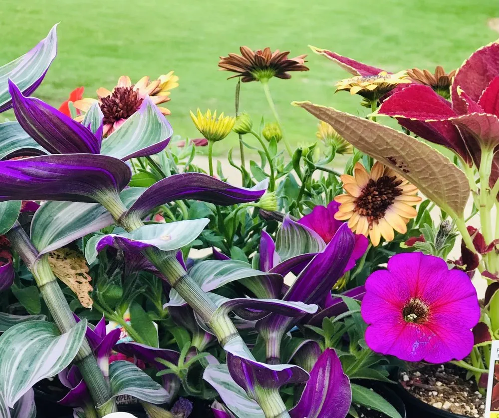 Custom yard cleanup service experts serving Red Wing, MN - Sargent's Nursery