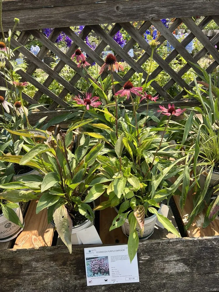 Professional lawn mowing service near you in Rochester, MN by Sargent's On 2nd