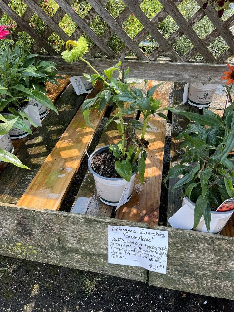 Local outdoor landscaping in Rochester, MN - Sargent's On 2nd