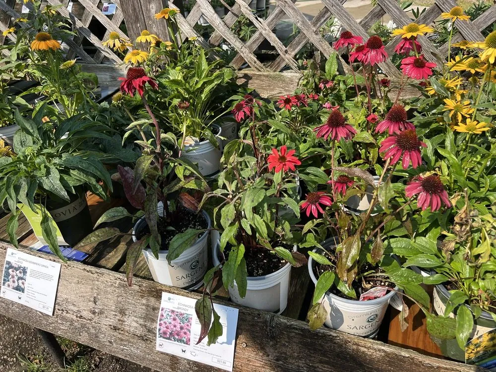 Affordable residential landscaping for residential properties across Rochester, MN - Sargent's On 2nd