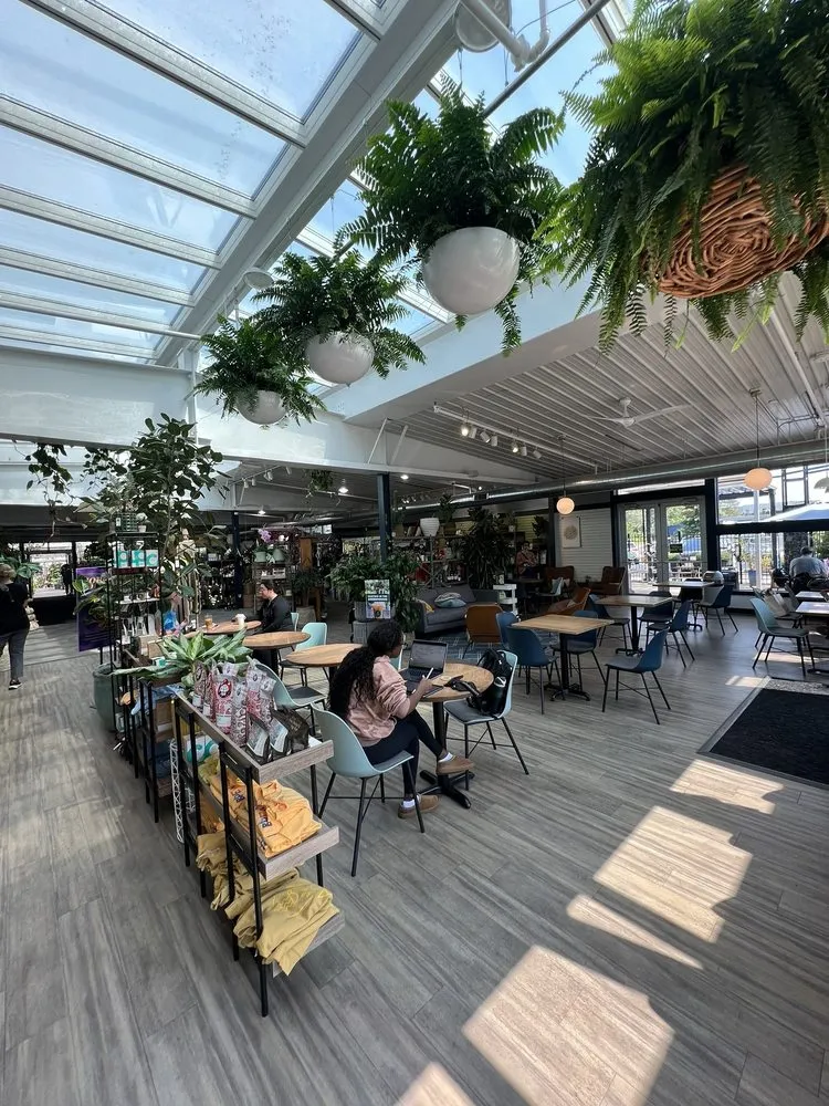 Professional lawn care service experts serving Rochester, MN - Sargent's On 2nd