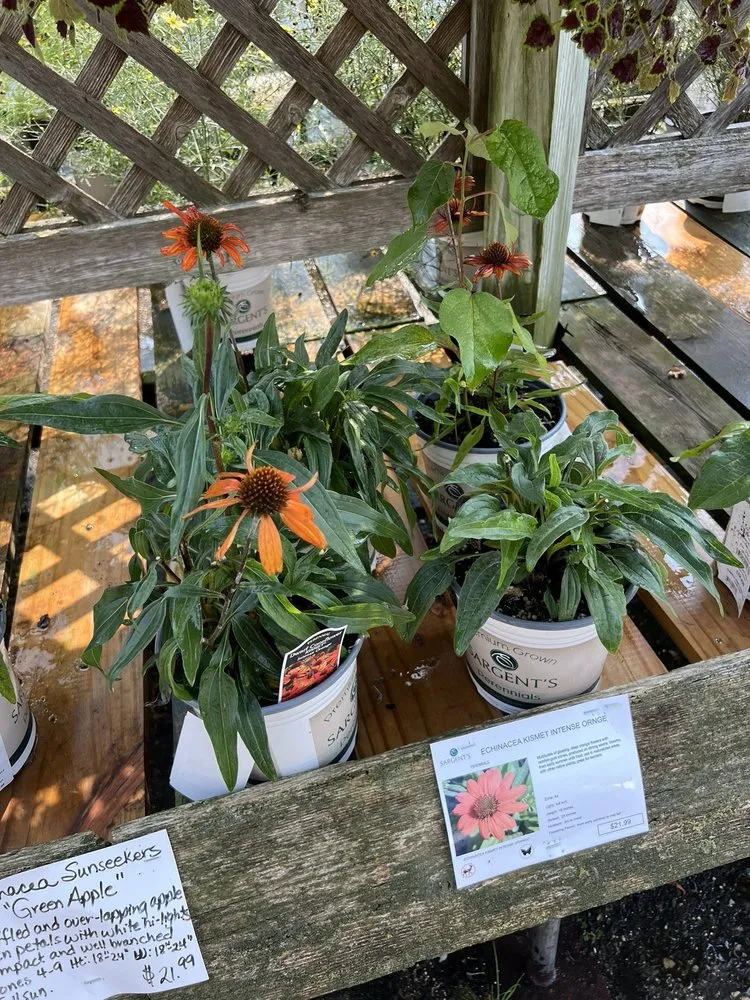 Local lawn mowing service in Rochester, MN by Sargent's On 2nd