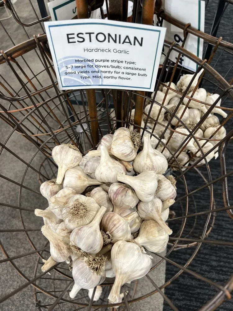 Top-rated residential landscaping for homes in Rochester, MN by Sargent's On 2nd