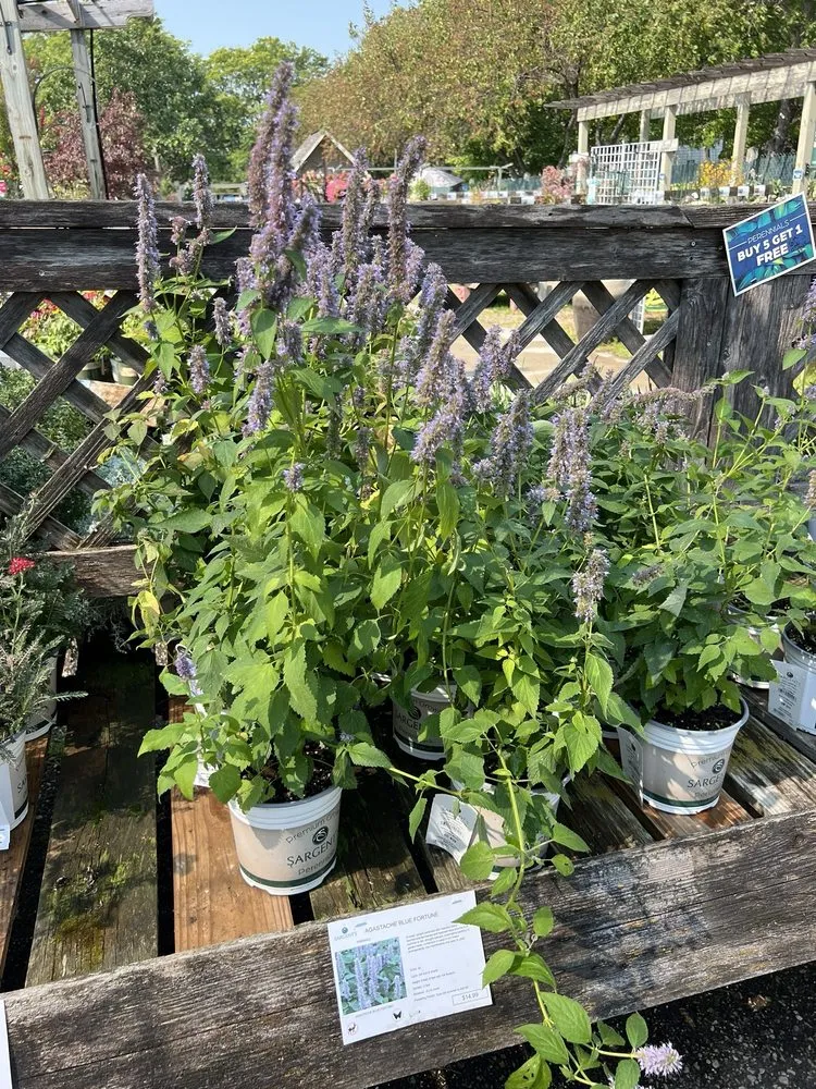 Reliable lawn care service experts serving Rochester, MN - Sargent's On 2nd