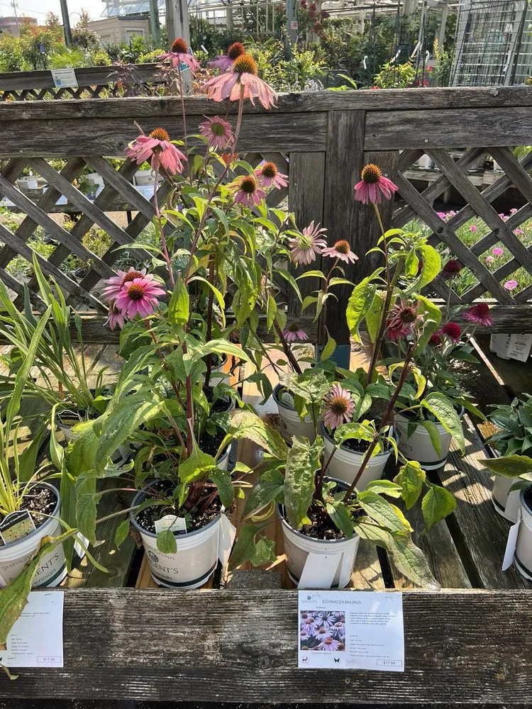 Reliable yard cleanup service for beautiful yards in Rochester, MN by Sargent's On 2nd