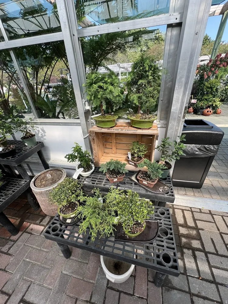 Affordable lawn mowing service for beautiful yards in Rochester, MN by Sargent's On 2nd