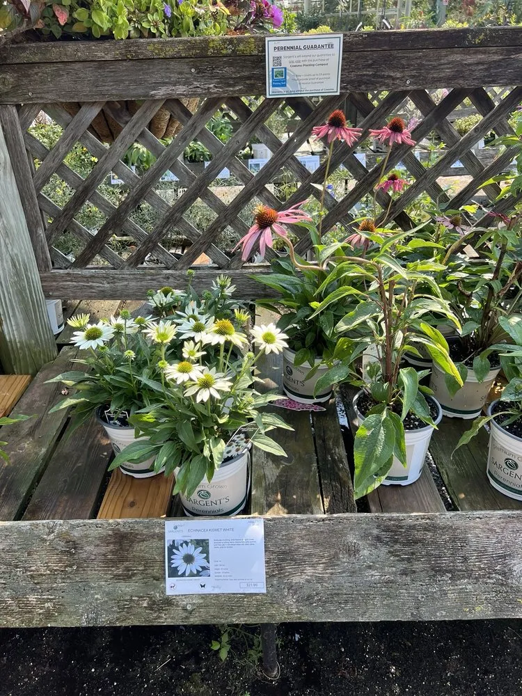 Reliable lawn mowing service for year-round maintenance in Rochester, MN by Sargent's On 2nd