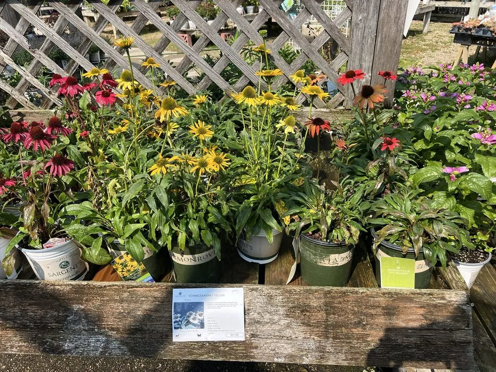 Custom lawn mowing service for year-round maintenance in Rochester, MN by Sargent's On 2nd