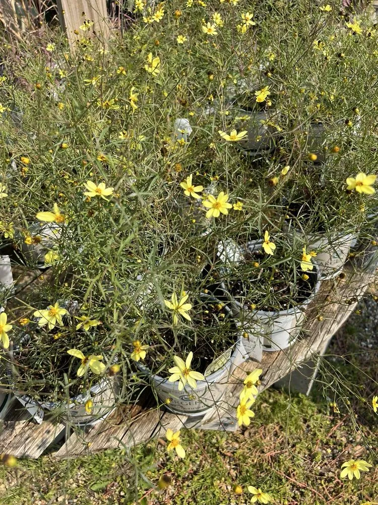 Trusted landscape installation near you across Rochester, MN - Sargent's On 2nd