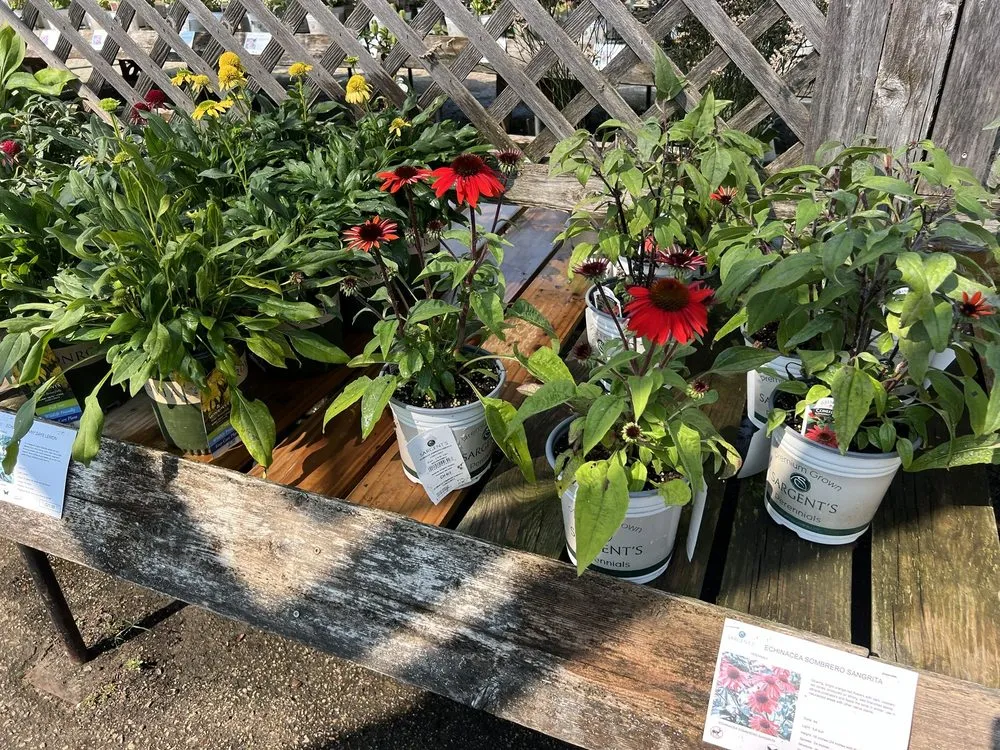 Affordable residential landscaping with custom design in Rochester, MN by Sargent's On 2nd